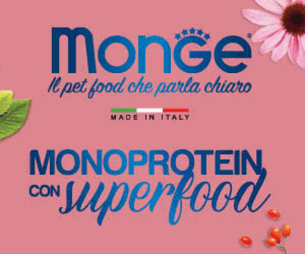 Monge